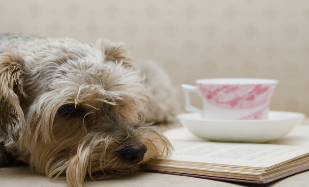 個(gè)人聽課心得體會(huì)怎么寫怎么寫（精選8篇）