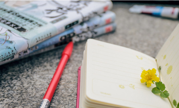 學前班班主任工作總結下學期總結十篇