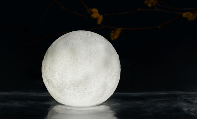 公司新員工工作心得體會精選范文最新怎么寫（精選8篇）