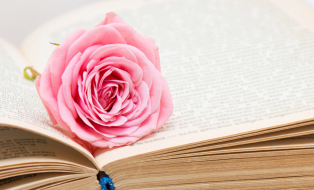 房屋維修工作規程（十二篇）