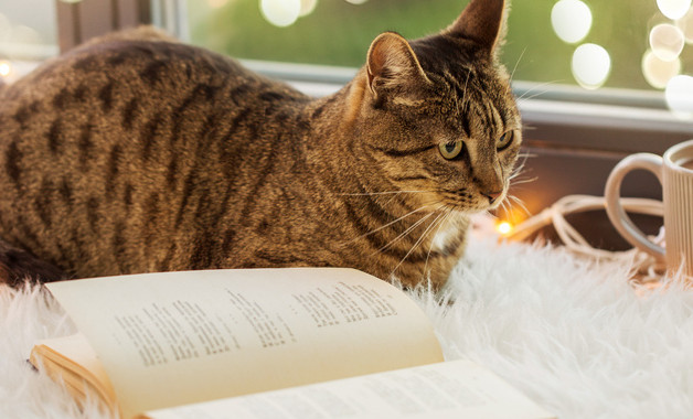 x食品庫房管理制度（十篇）