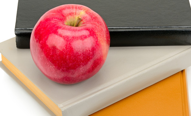 總賬會計崗位職責(zé)簡介怎么寫（精選8篇）