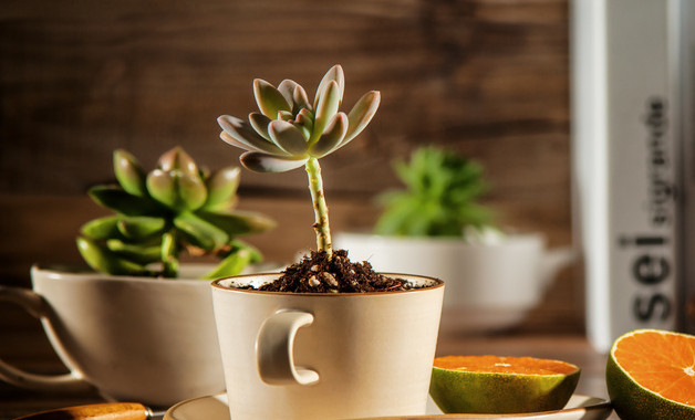 鼓風(fēng)機(jī)崗位操作規(guī)程(八篇)