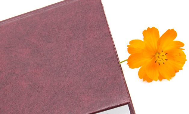 儀器設(shè)備管理員崗位職責(zé)（2篇范文）