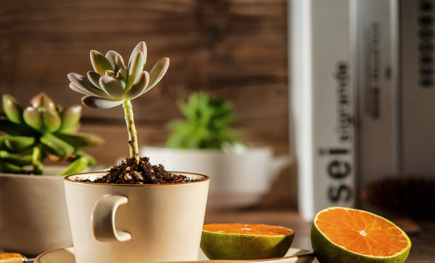 某某小企業財務管理制度（九篇）