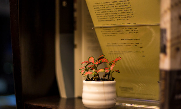 企業單位黨員述職報告優秀推薦十一篇