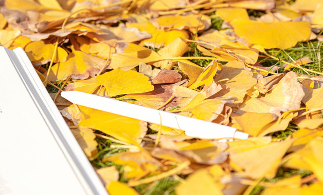 有限責任公司安全管理制度（五篇）