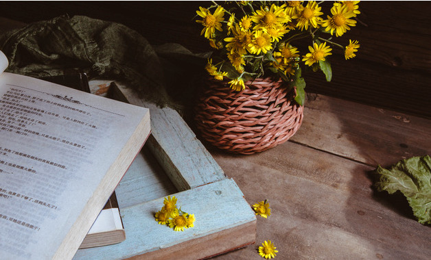 小學語文評課稿模板（20篇范文）