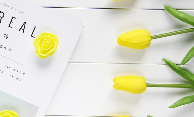 法制教育進校園心得體會怎么寫（精選8篇）