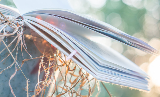 關于黨員學習心得感悟范文怎么寫（精選7篇）