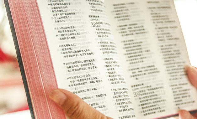 社保年終工作總結十篇