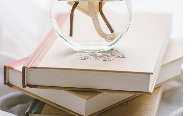 2024年鄉鎮干部上半年述職報告2000字十二篇