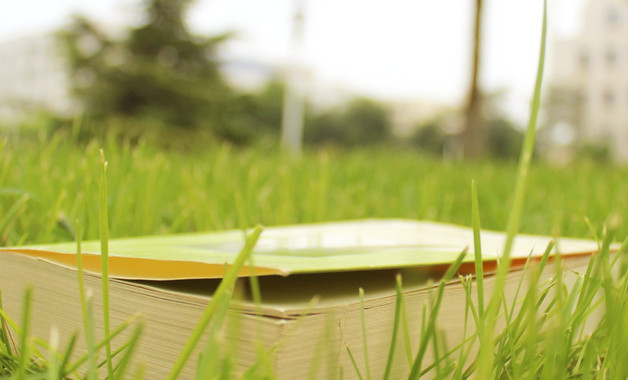 板材貿易公司簡介（5篇范文）