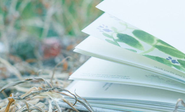 義務教育法心得體會怎么寫（精選8篇）