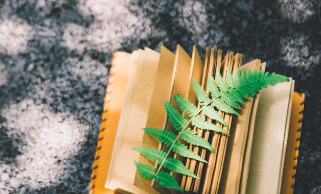 單位自查自糾整改報告精選十二篇