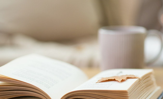 中保公司簡介（50篇范文）