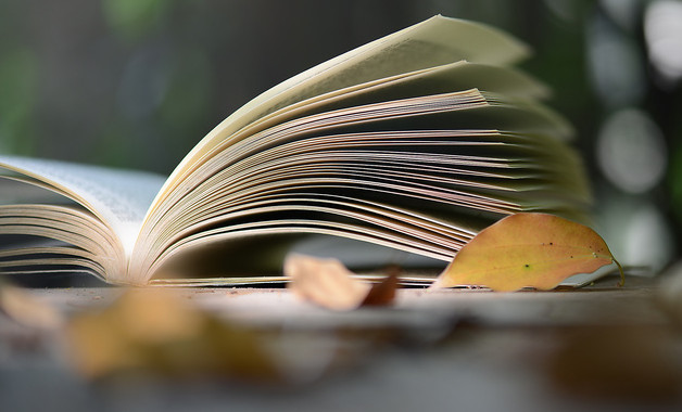 致辭發言稿模板（20篇范文）