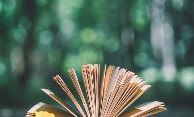 2025關(guān)于中學(xué)生社會實踐總結(jié)以及心得體會怎么寫（精選8篇）