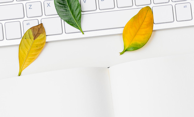 財務會計管理制度（十二篇）