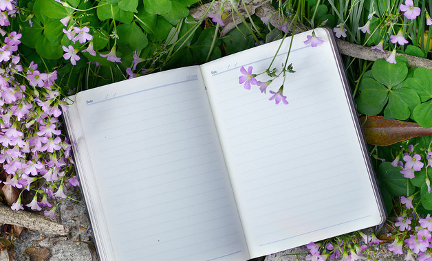 巴旦木公司簡介（17篇范文）