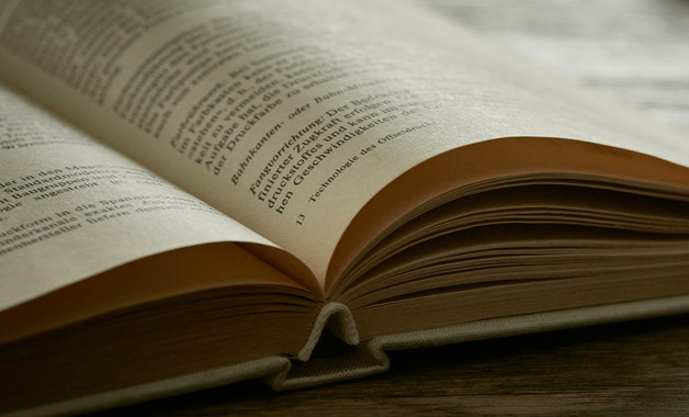 小學(xué)語(yǔ)文高效課堂之心得體會(huì)分享怎么寫（精選5篇）