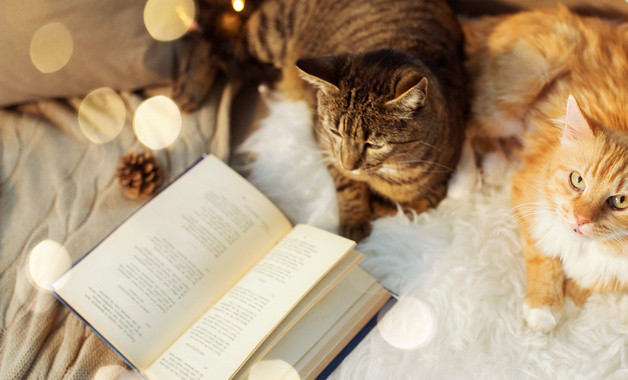 匯報表演主持詞模板