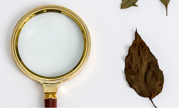 小學(xué)二年級班主任心得體會怎么寫（精選6篇）