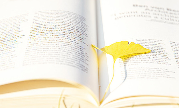 2023年房地產(chǎn)財務(wù)年終工作總結(jié)800字十篇