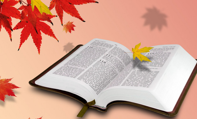 客服中心辦公內勤崗位職責（十二篇）