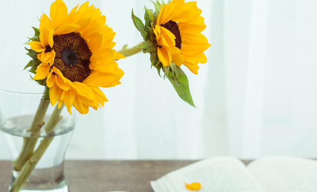 2025年試用期員工轉正心得怎么寫（精選8篇）