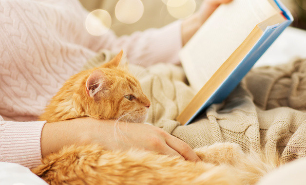 刀模公司簡介（50篇范文）