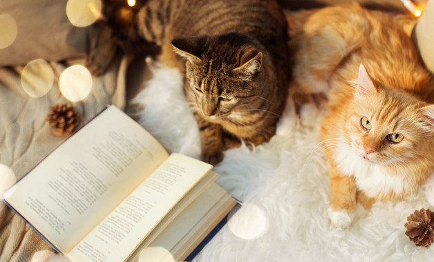 蓓蕾幼兒園功能室安全管理制度（四篇）