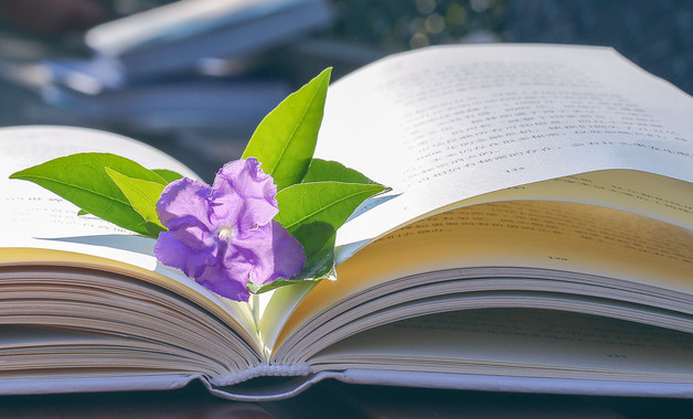 大學生三下鄉社會實習報告