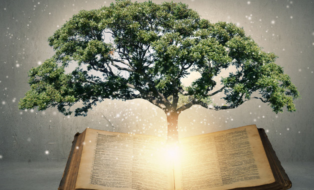 電信話務員年終工作總結十篇