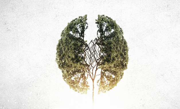 粉筆公司簡介（21篇范文）