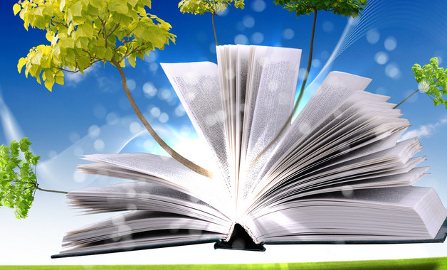 小班學期工作總結十篇