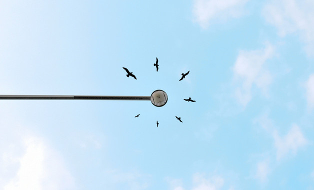 八項規定整改措施報告五篇