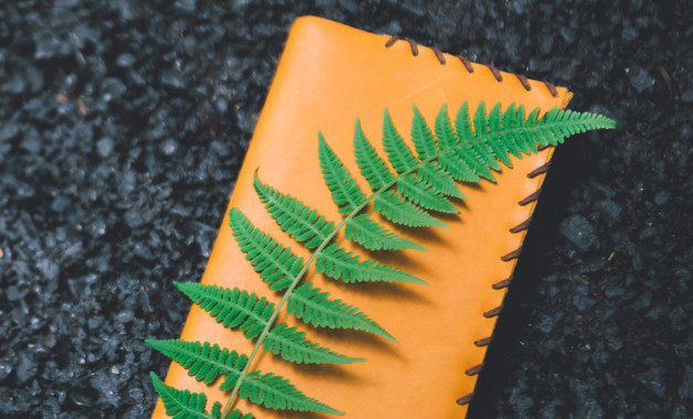 財務(wù)工作總結(jié)錦集十篇