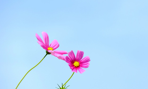 建筑行業(yè)項(xiàng)目會(huì)計(jì)崗位職責(zé)（七篇）