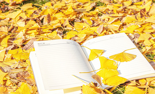 局長崗位職責勞動和社會保障局（20篇范文）