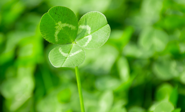 帶鋸床安全操作維護(hù)保養(yǎng)規(guī)程(九篇)